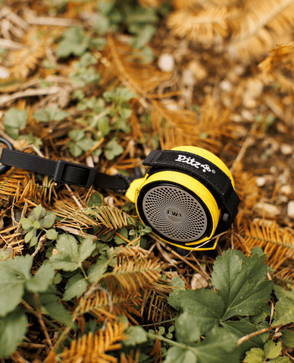 Pitz Mini Speaker