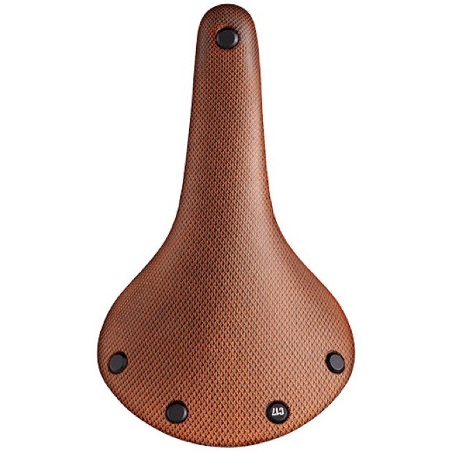 Brooks Cambium C17 All Weather